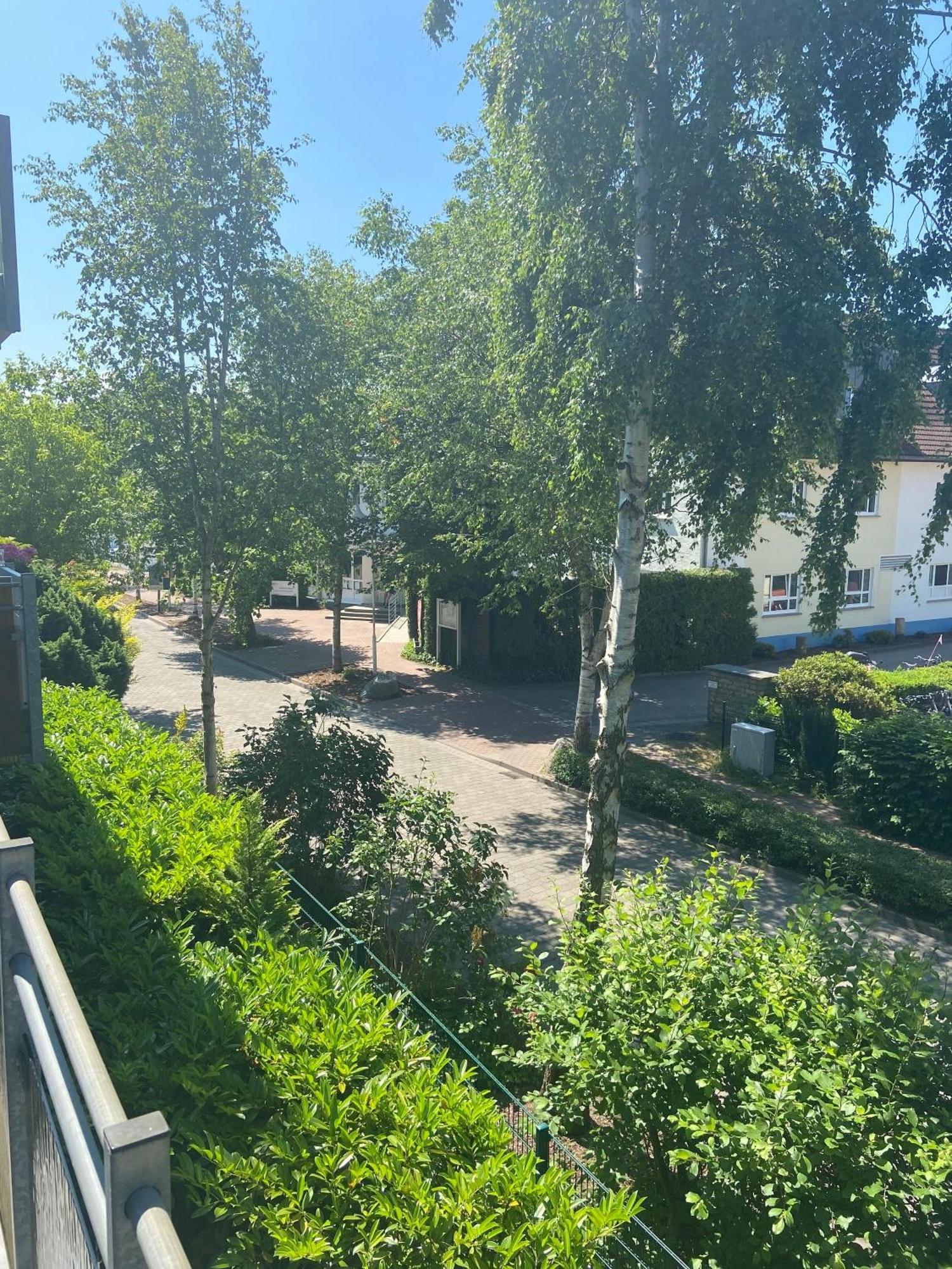 Meeresrauschen Zingst Eksteriør billede